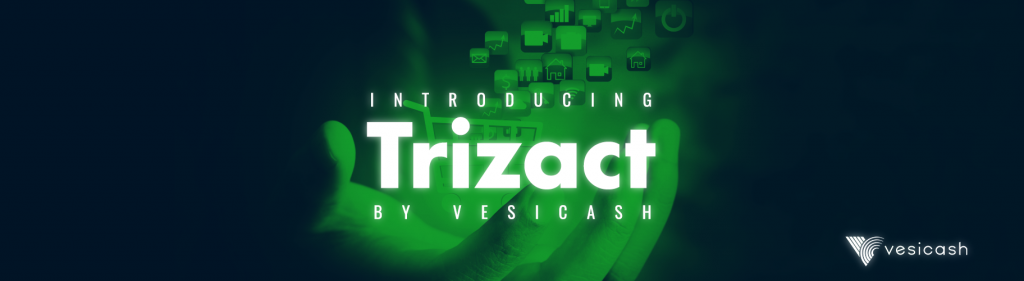 Introducing Trizact Payment Link